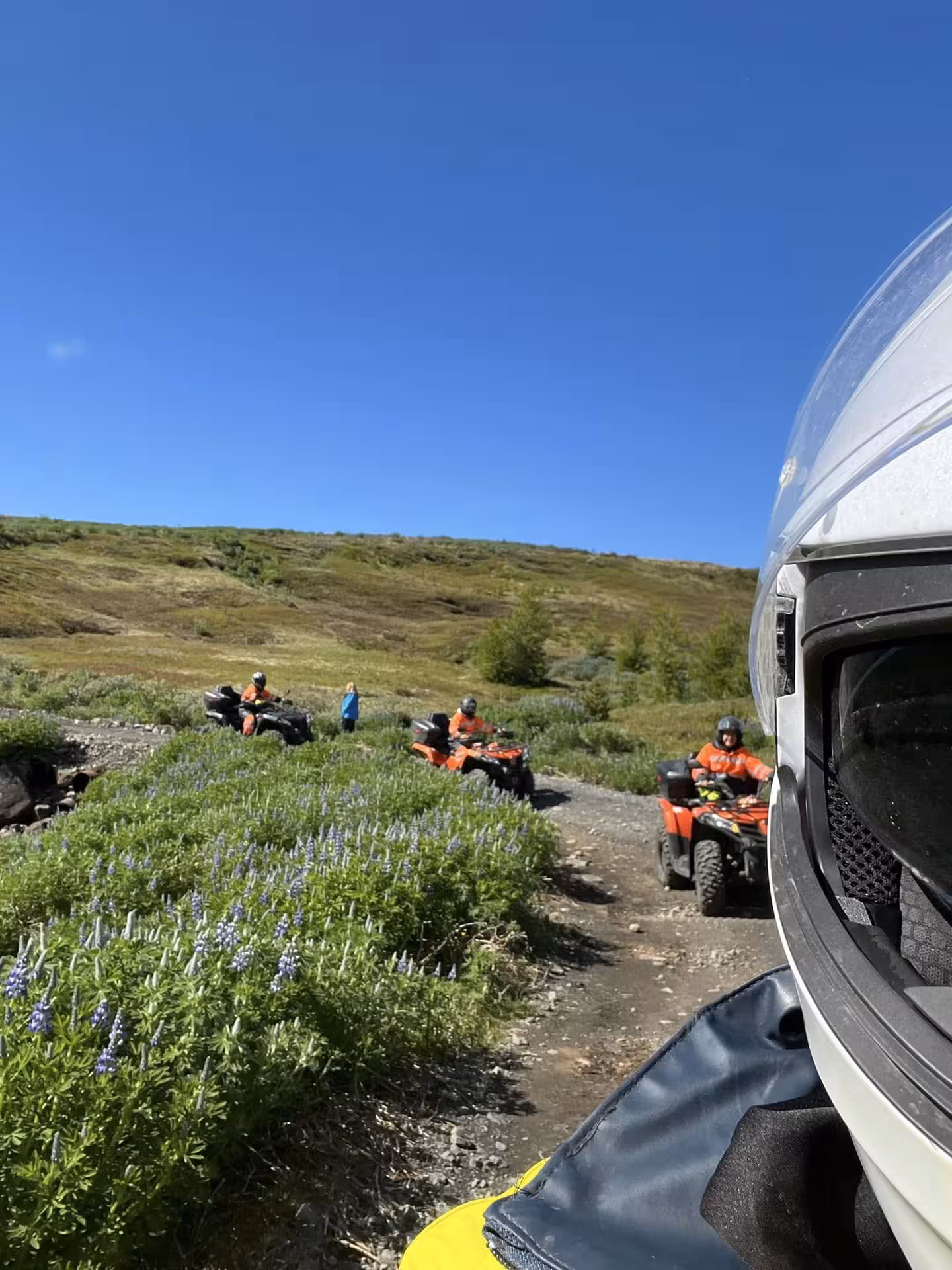 Group of ATV quad riders in orange suits on a trail through lupine wildflowers in Icelandic wilderness