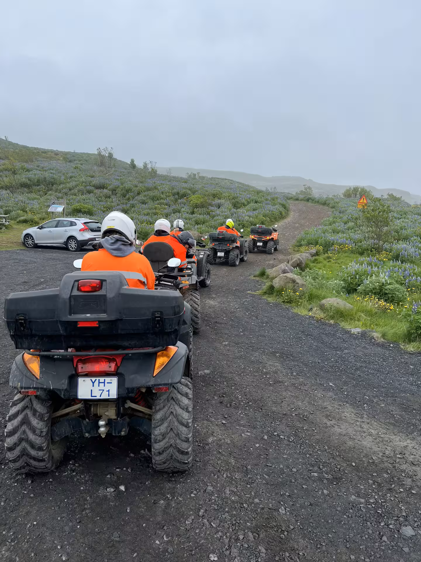 Group of riders on ATVs in orange gear riding along a gravel trail surrounded by lupine flowers in Iceland