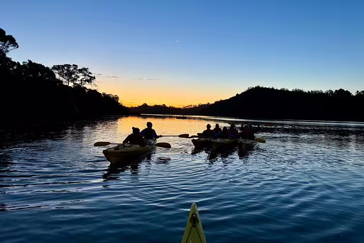 Kayakers paddle into the sunset on Auckland's Waiake Beach, ideal setting for bioluminescence kayak tour adventure.
