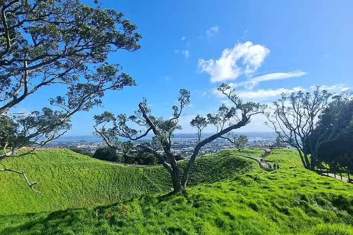 Stunning panoramic view of Auckland from Mount Eden with lush greenery and clear blue skies.