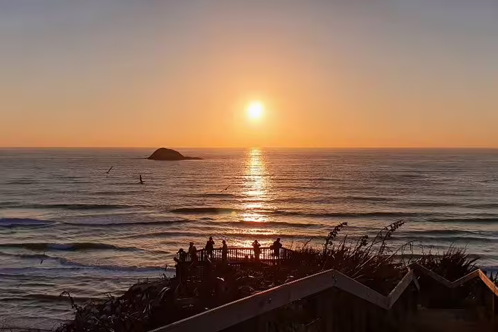 Enjoy a stunning Auckland sunset over the ocean, perfect for a romantic tour with winery and thermal pool visit.