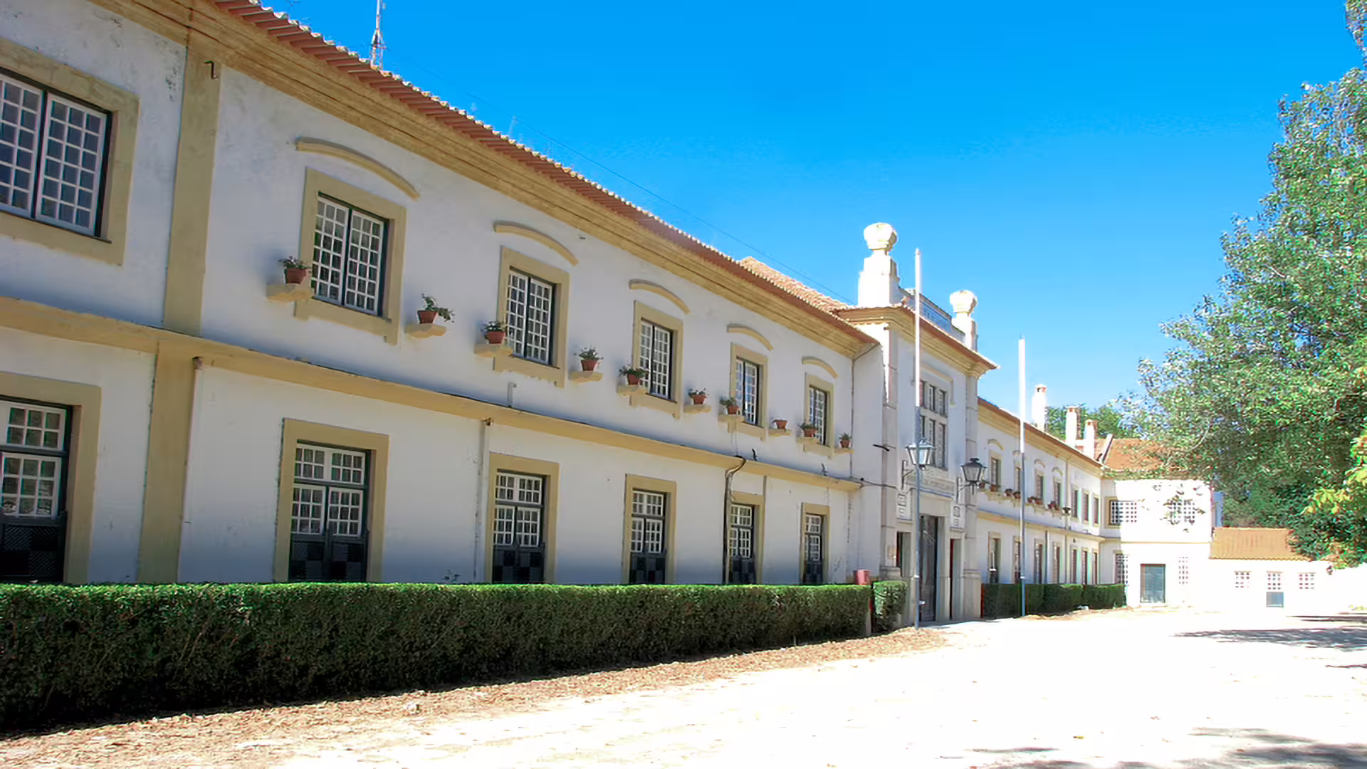 Elegant historic building in Aveiro, Portugal, with classic architecture, featured in a private tour to Costa Nova's striped houses.