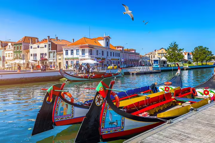 Colorful moliceiro boats lined up on a canal in Aveiro, Portugal, under a clear blue sky, perfect for a scenic river cruise.