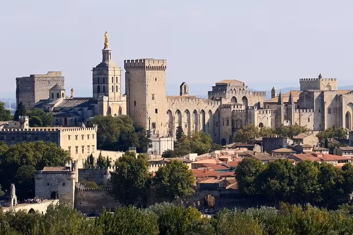 Panoramic view of Avignon Palais des Papes and medieval walls on a private shore excursion from Marseille