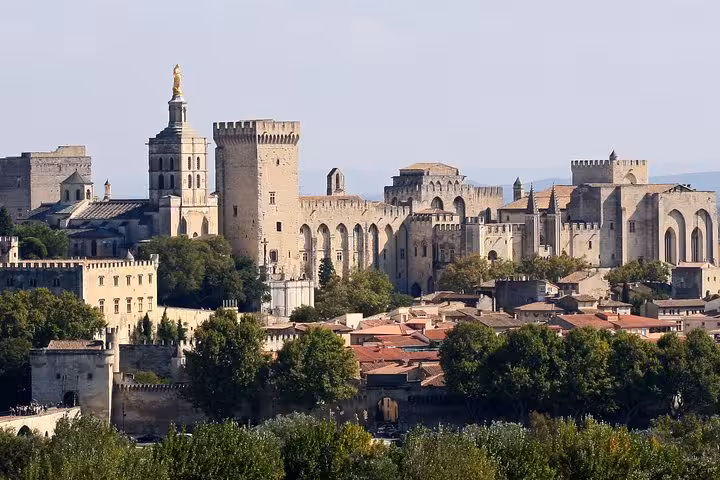 Panoramic view of Palais des Papes and Avignon skyline, must-see on full-day shore excursion to Provence