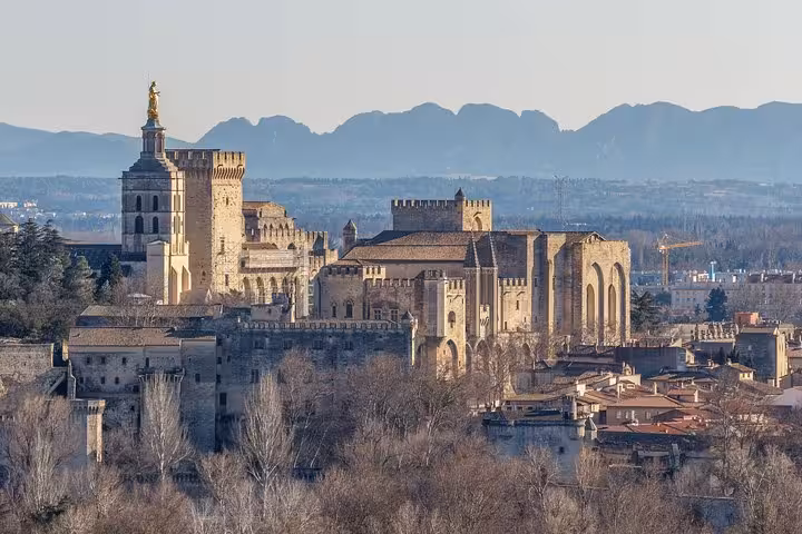 Aerial view of the Papal Palace and Avignon Cathedral with mountains in the background