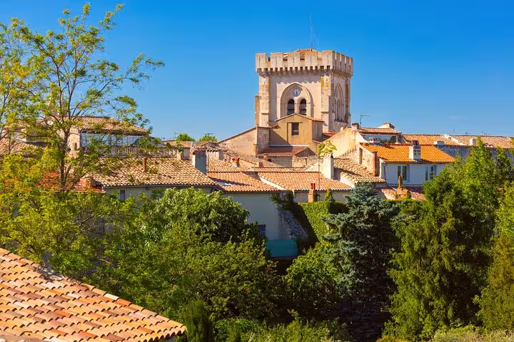 View of historic Avignon rooftops and medieval tower surrounded by lush greenery, perfect for a private city walk tour.