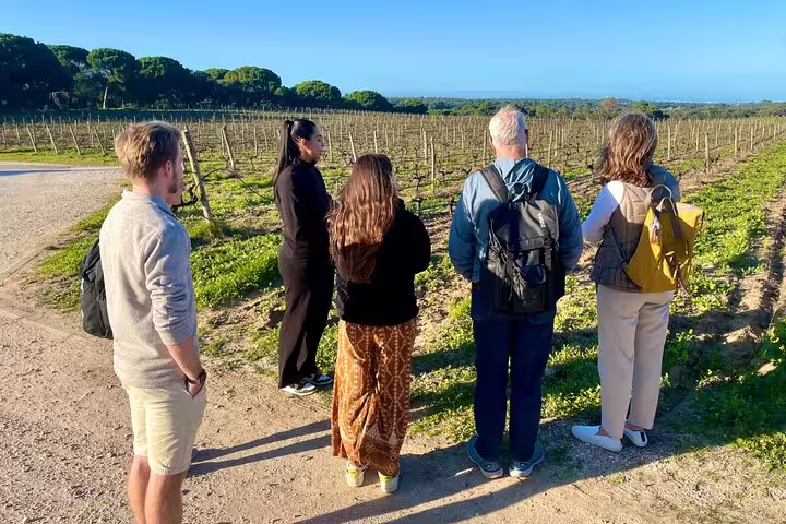 Group enjoying a vineyard tour in Sesimbra with lush landscapes, part of the Private Azeitão Cheese Workshop and Wine Tasting experience.