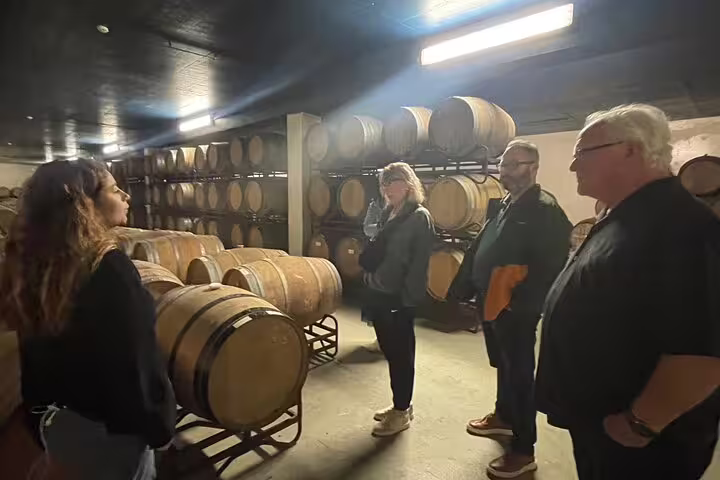 Tour group exploring a wine cellar with wooden barrels during the Private Azeitão Cheese Workshop, Wine Tasting & Sesimbra Tour.