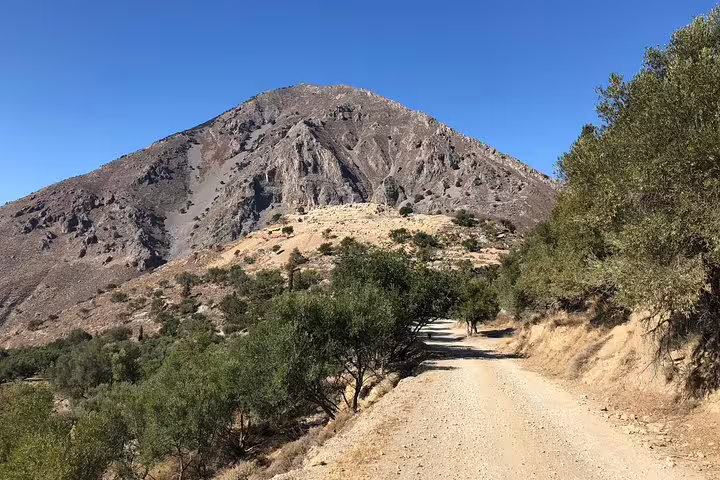 Scenic dirt road leading to the majestic Azoria mountain, surrounded by lush olive trees under a clear blue sky.