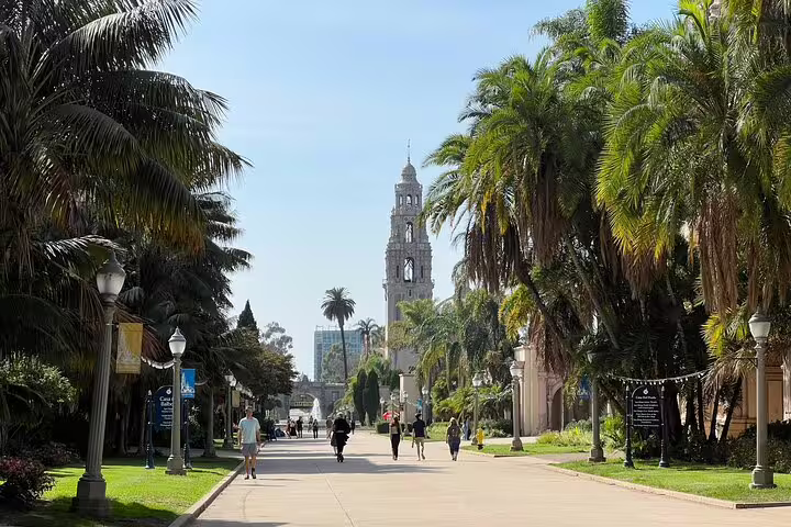 Palm tree-lined walkway in Balboa Park with California Tower in background, San Diego