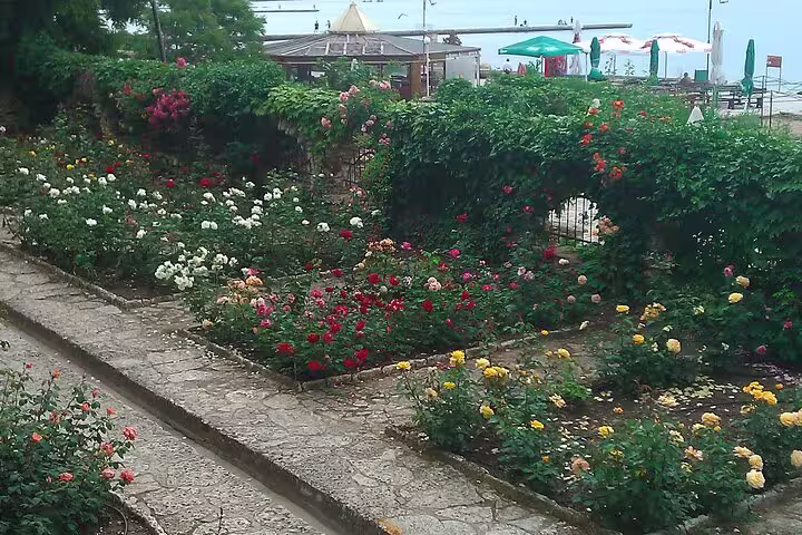 Stroll through the vibrant rose gardens of Balchik Palace, showcasing diverse blooms near the scenic Black Sea coast.