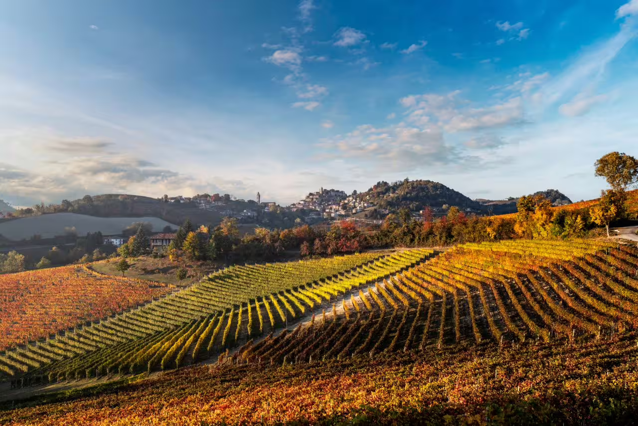 Picturesque vineyard landscape in Barbaresco, Italy, with rolling hills and a quaint village in the background.