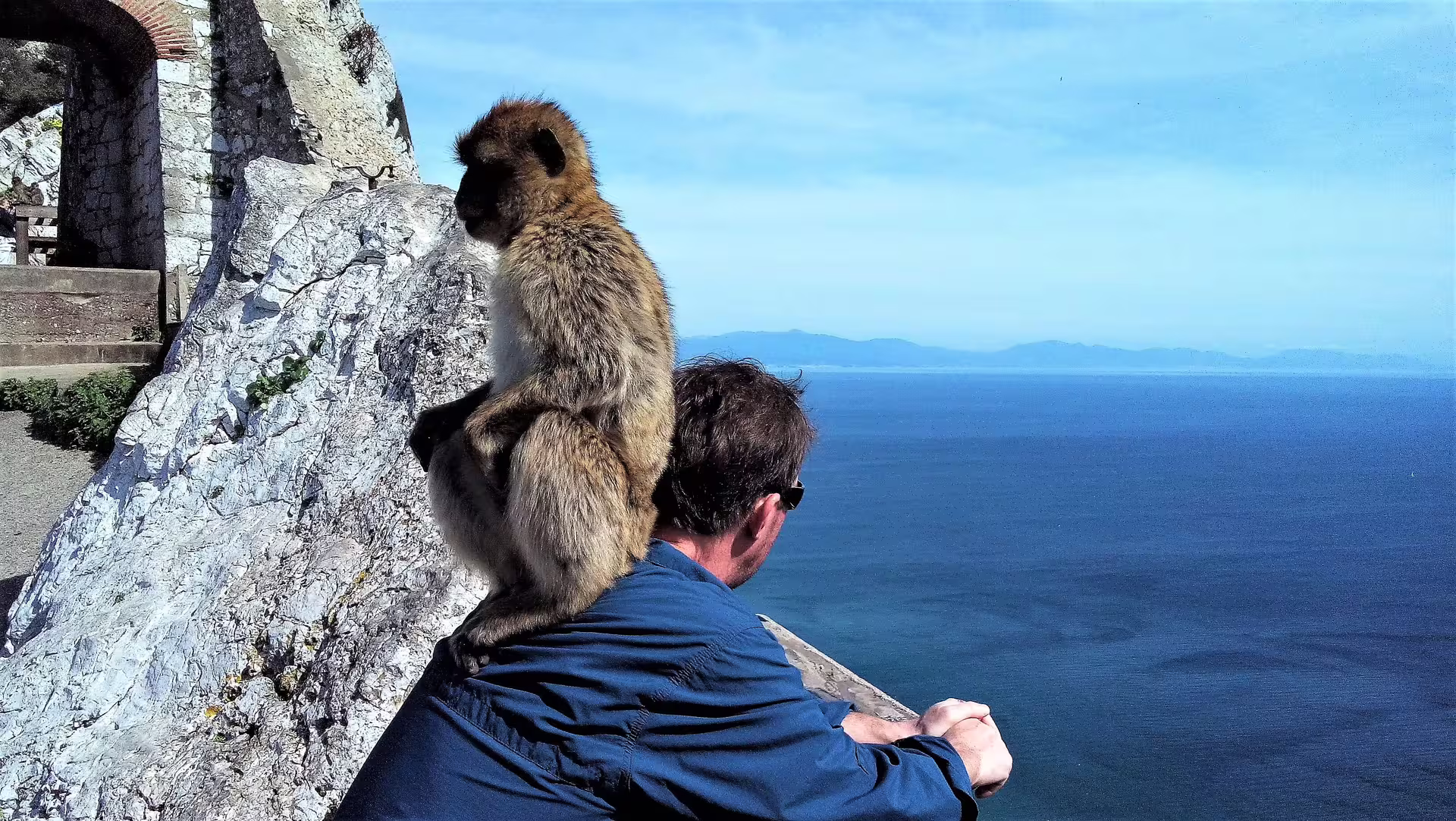 Barbary macaque perched on a visitor’s shoulder at the Rock of Gibraltar viewpoint on a private Costa del Sol trip