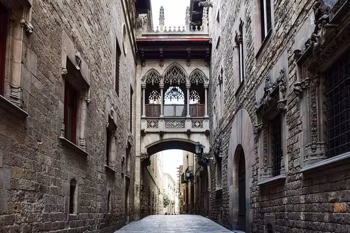 Discover the Gothic Quarter's intricate architecture and narrow streets on a private full day car tour of Barcelona.