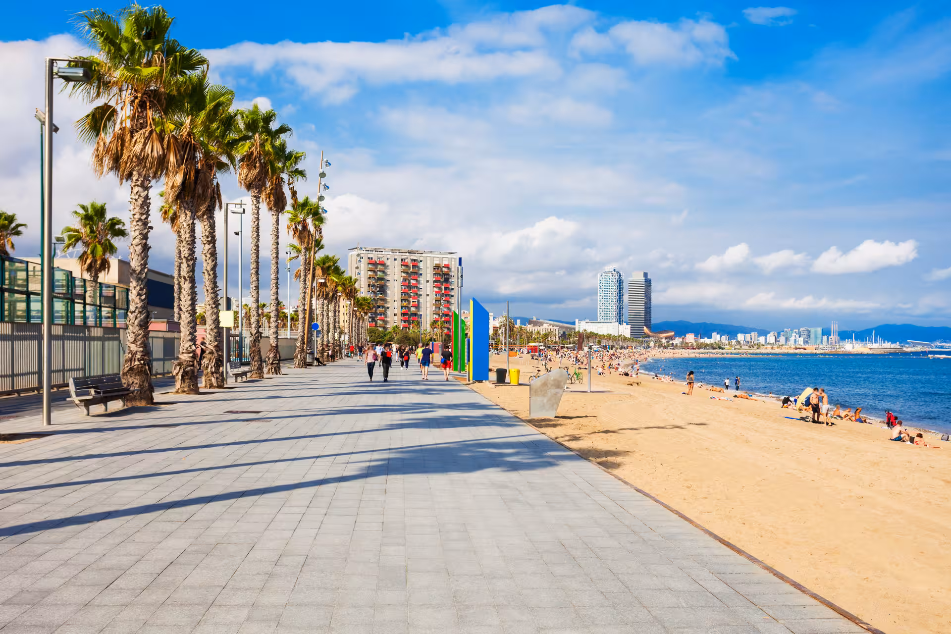 Barceloneta Beach palm-lined promenade on a private Barcelona panoramic city tour by vehicle, sea views
