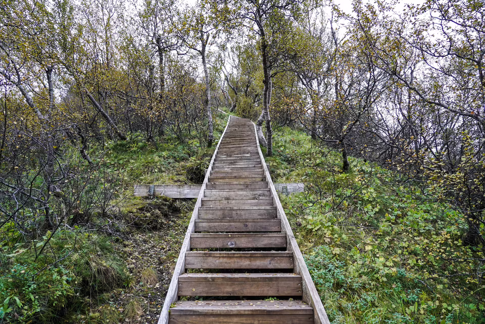 Beginning of the Hiking trail in Basar Thorsmork 