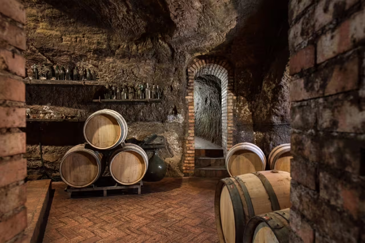 Volcanic tuff cave wine cellar in Basilicata with oak barrels, part of Lucanian wine tasting experience