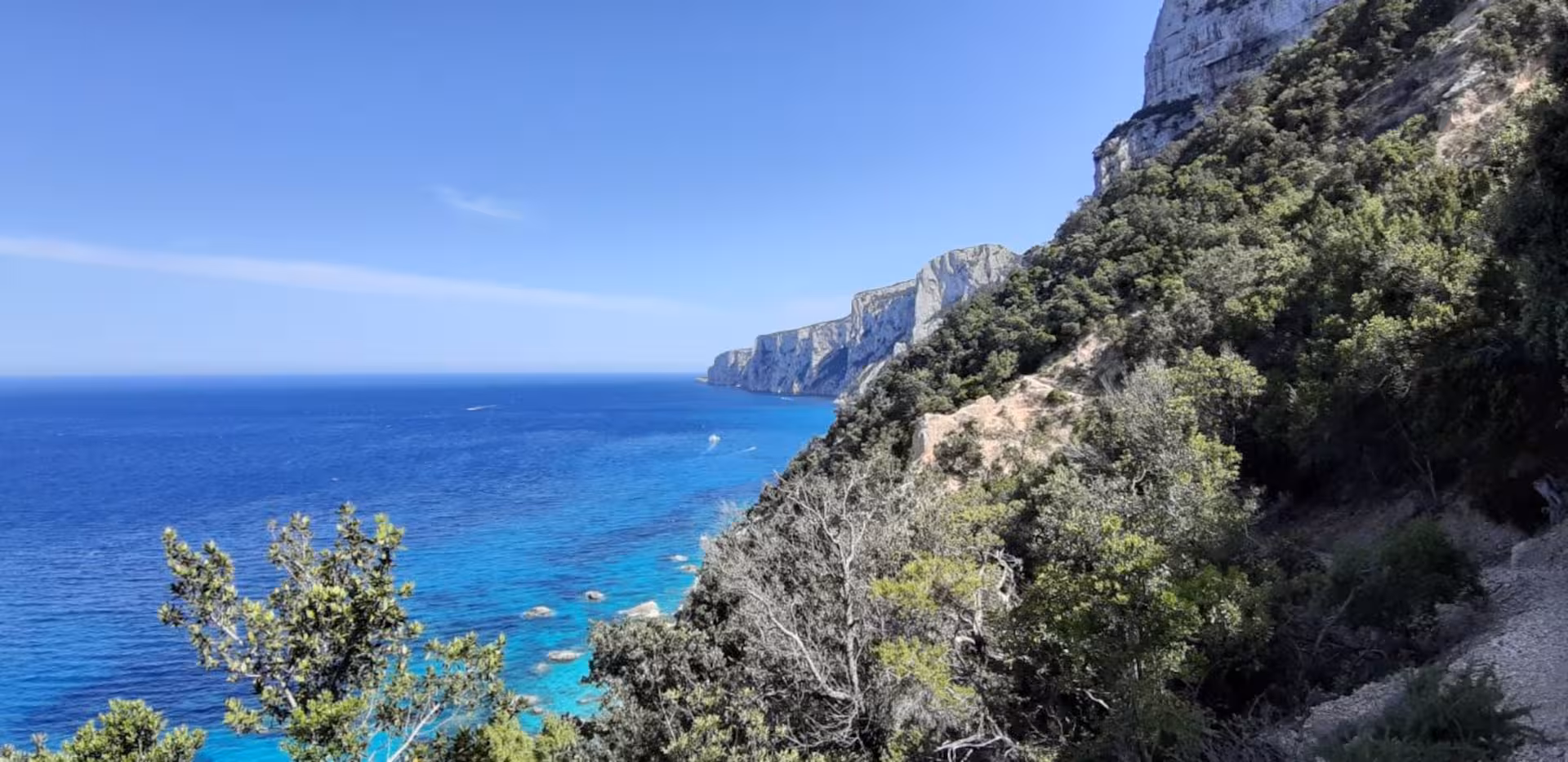 Stunning view of Cala Mariolu's azure waters and rugged cliffs framed by lush greenery in Baunei, Sardinia.