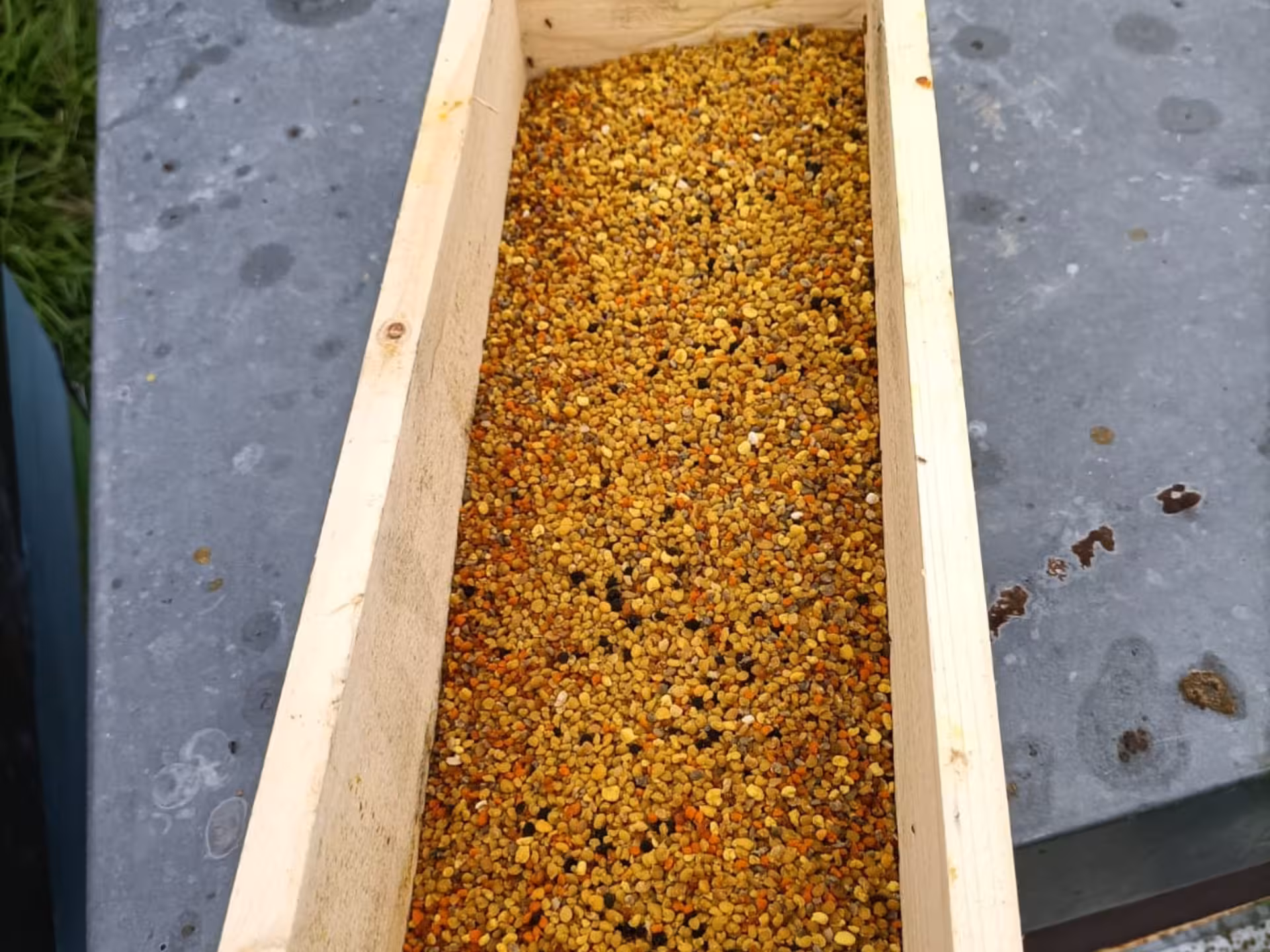 Wooden tray filled with vibrant bee pollen grains for honey tasting experience in Monferrato.