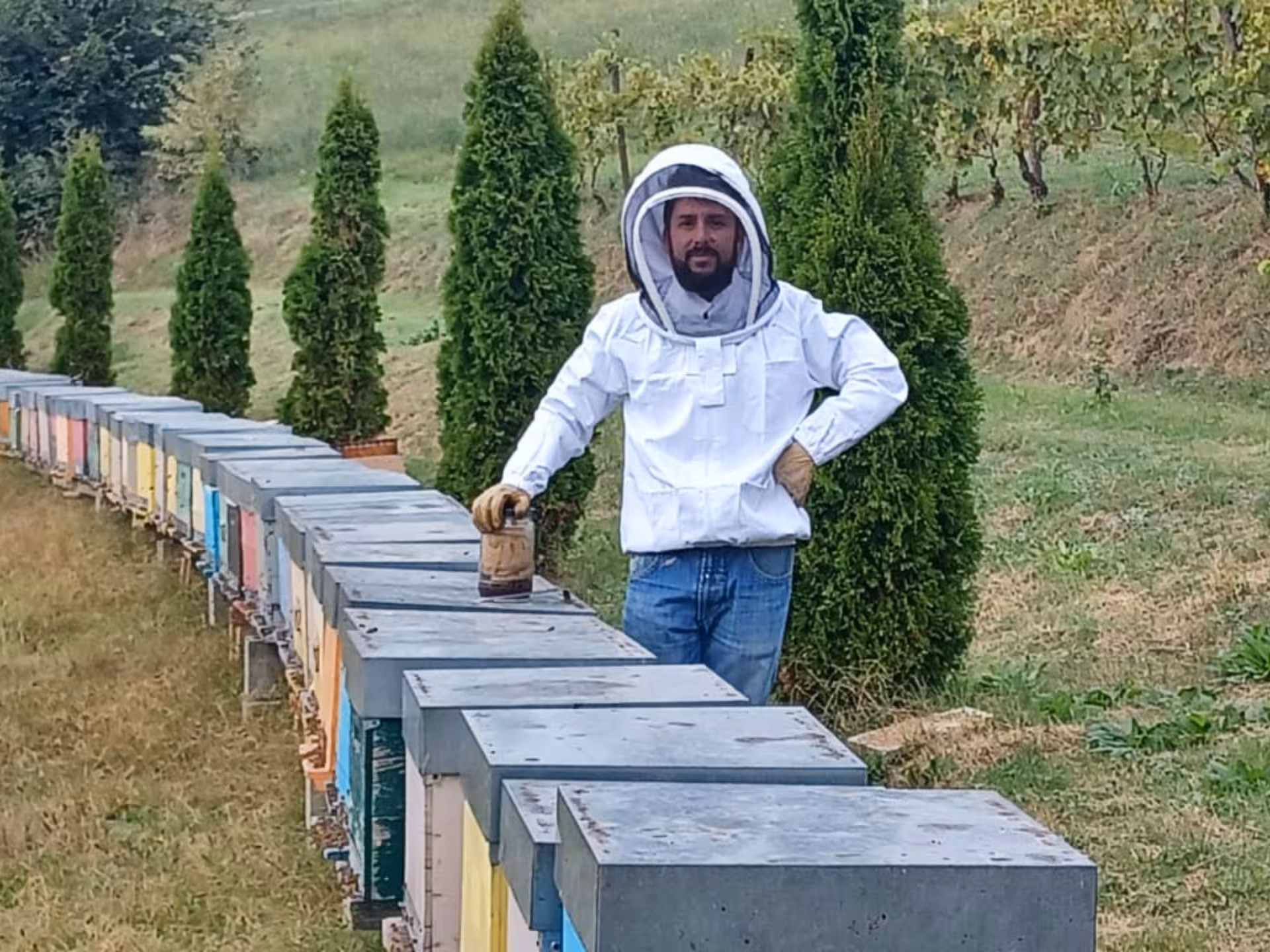 Beekeeper in protective gear standing by colorful hives in Monferrato, showcasing a beekeeping tour and honey experience.