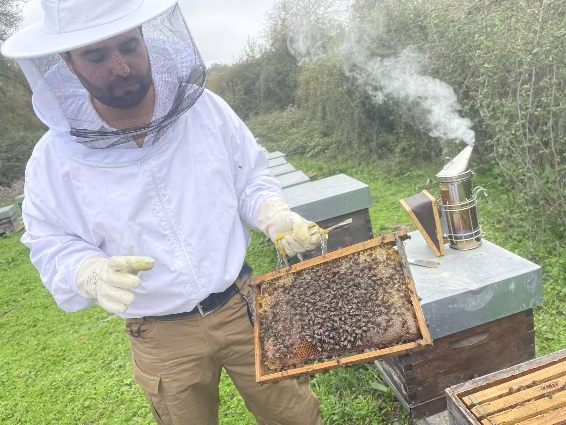 Beekeeper in protective gear examines a hive frame during the Évora honey tasting tour.