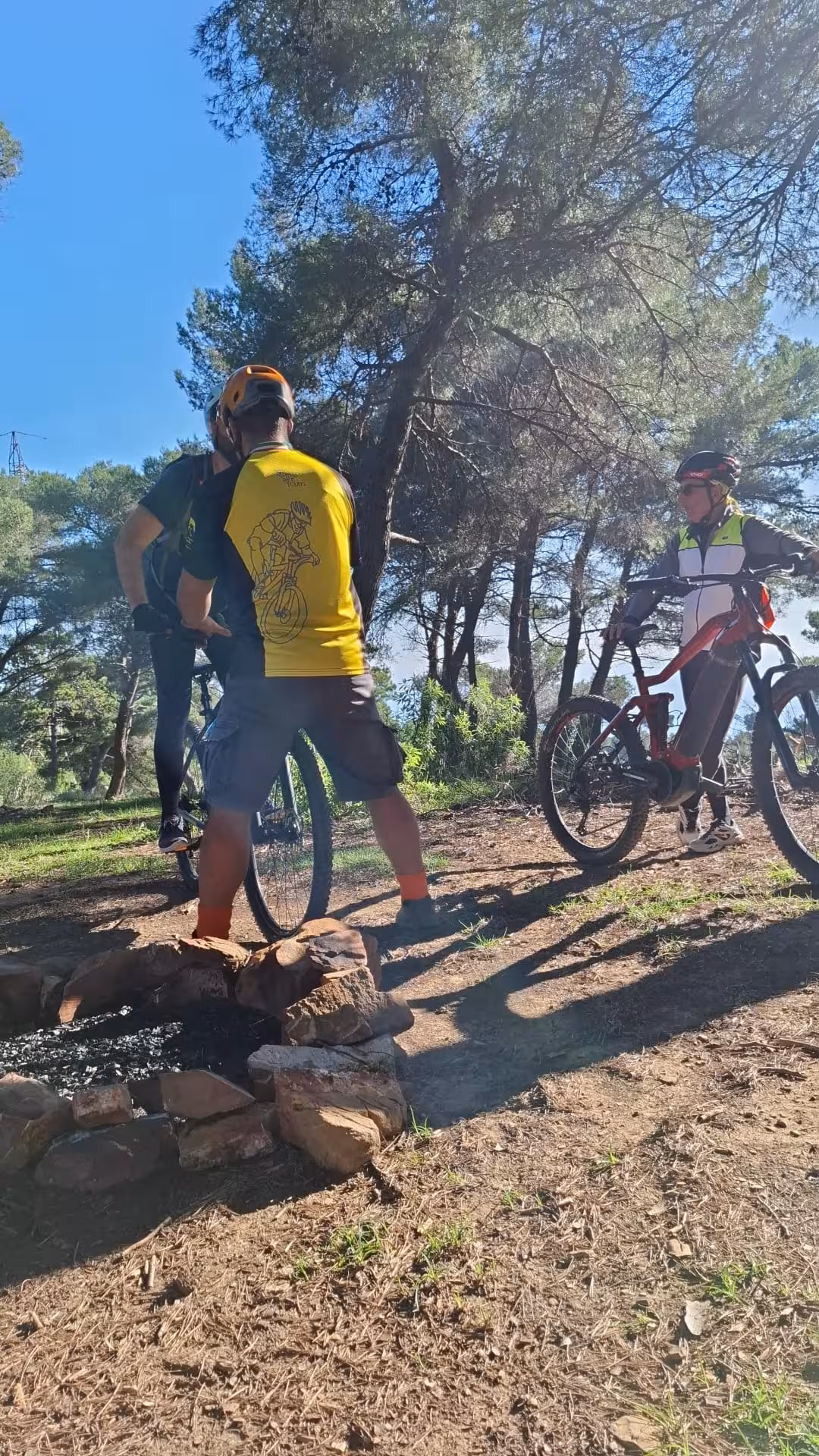 Group of mountain bikers discussing on a forest trail during a beginner MTB course, highlighting camaraderie and nature.