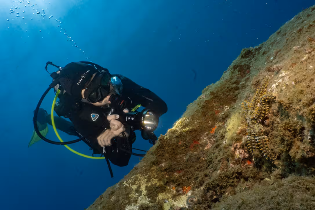 Scuba diver exploring vibrant coral reef with flashlight, ideal underwater adventure for beginners.