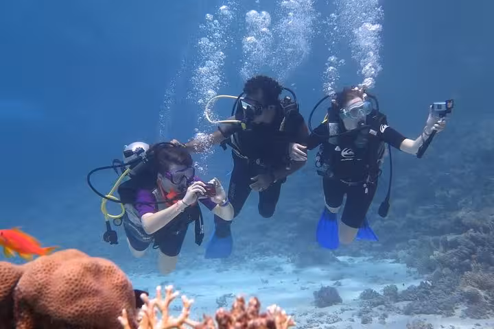 Beginner scuba divers with instructor exploring coral reef on intro dive, practicing skills in clear blue water