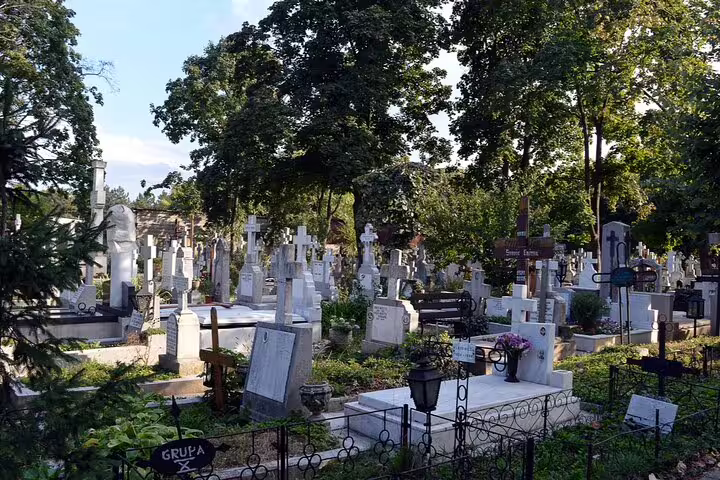 Historic Bellu Cemetery Bucharest with white marble crosses, tombstones and tall trees on a sunny day