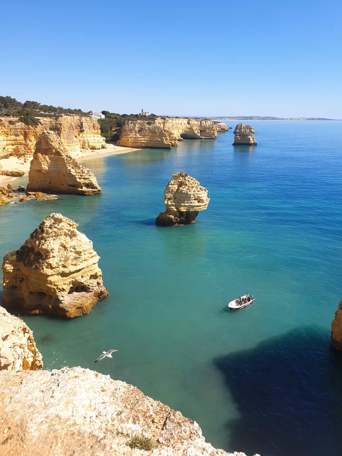Aerial view of turquoise Algarve coastline with golden rock formations during private Benagil Cave deluxe boat tour