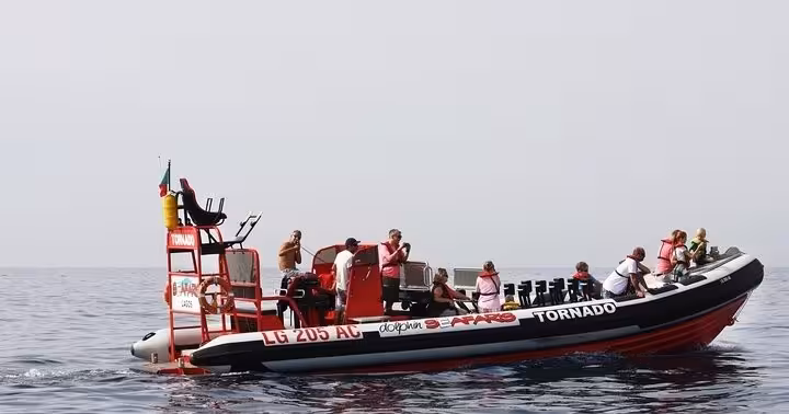 Tornado speedboat with tourists on a guided Benagil Caves boat tour from Lagos, Algarve