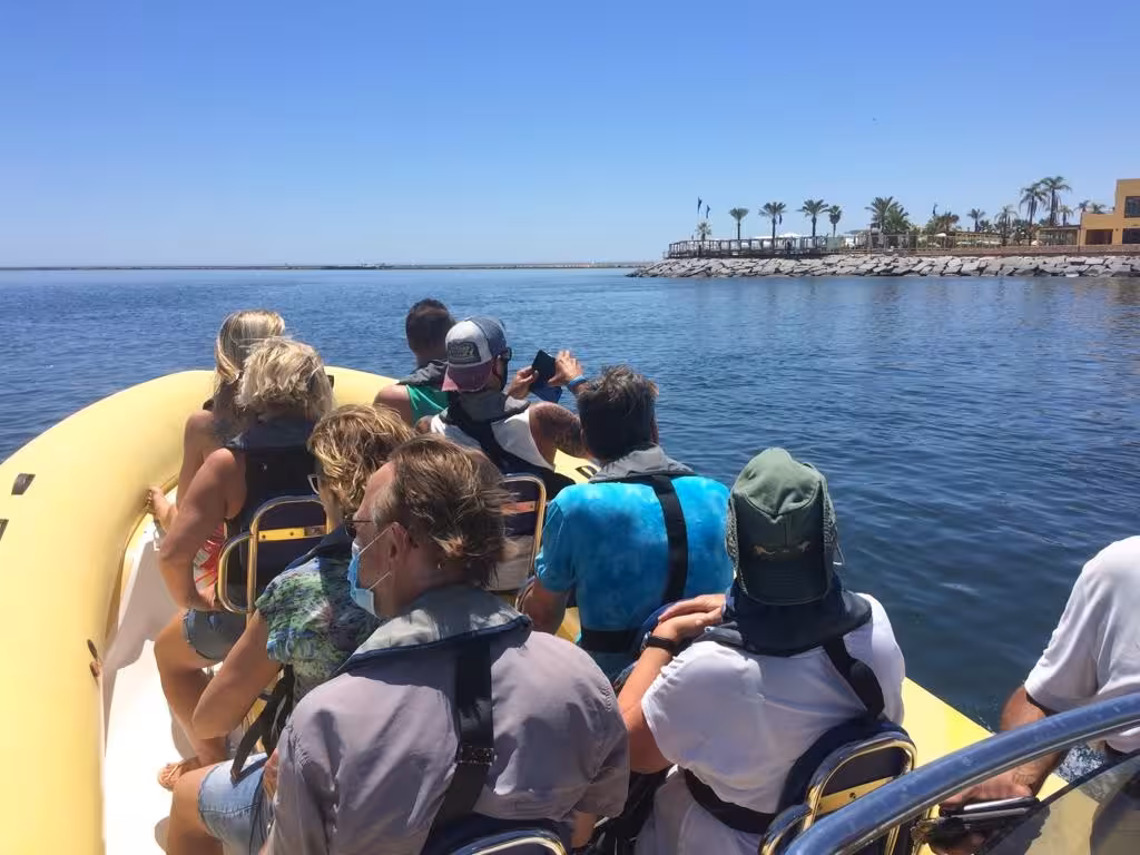 Small-group RIB boat tour leaving Benagil marina, guests in life jackets cruising calm Algarve coast on a sunny day
