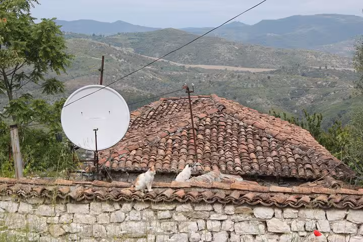 Charming Berat rooftop with terracotta tiles and lush green hills in the background, perfect for a historical walking tour.