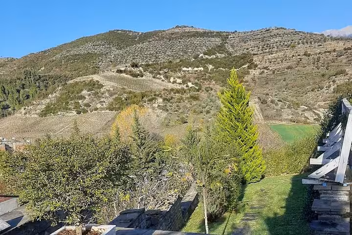 Picturesque vineyard landscape in Berat with terraced hills, perfect for an off-road wine tasting experience.