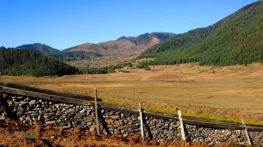 Expansive view of Bhutan's lush valley with a traditional stone wall and rolling hills under a clear blue sky.