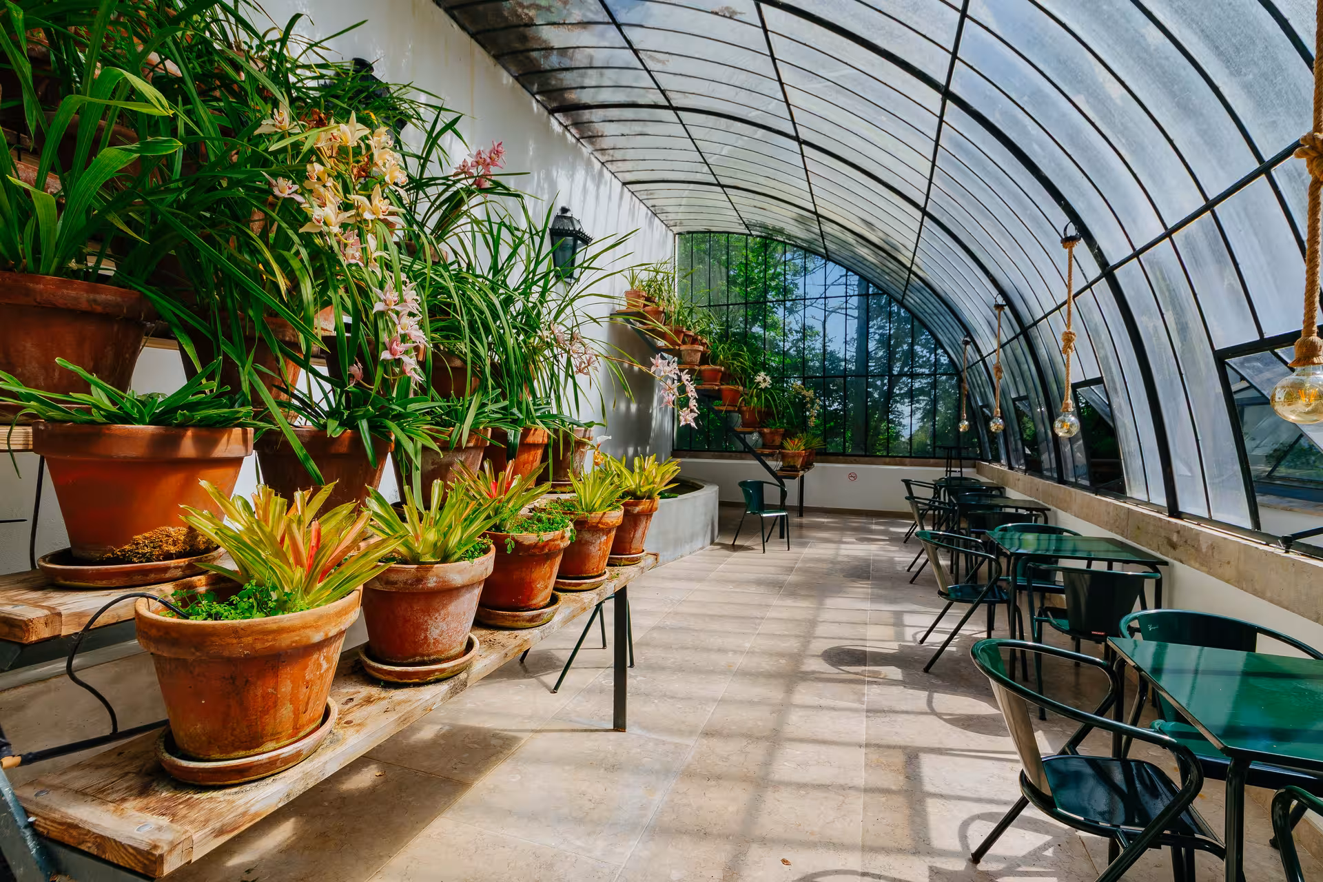 Lush greenhouse conservatory at Biester Palace Sintra with tropical plants and arched glass ceiling