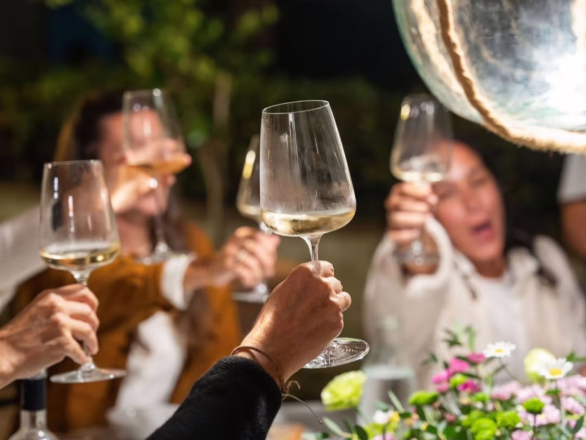 Guests raising wine glasses in celebration during a biodynamic winery tour in Lucca under ambient evening light.
