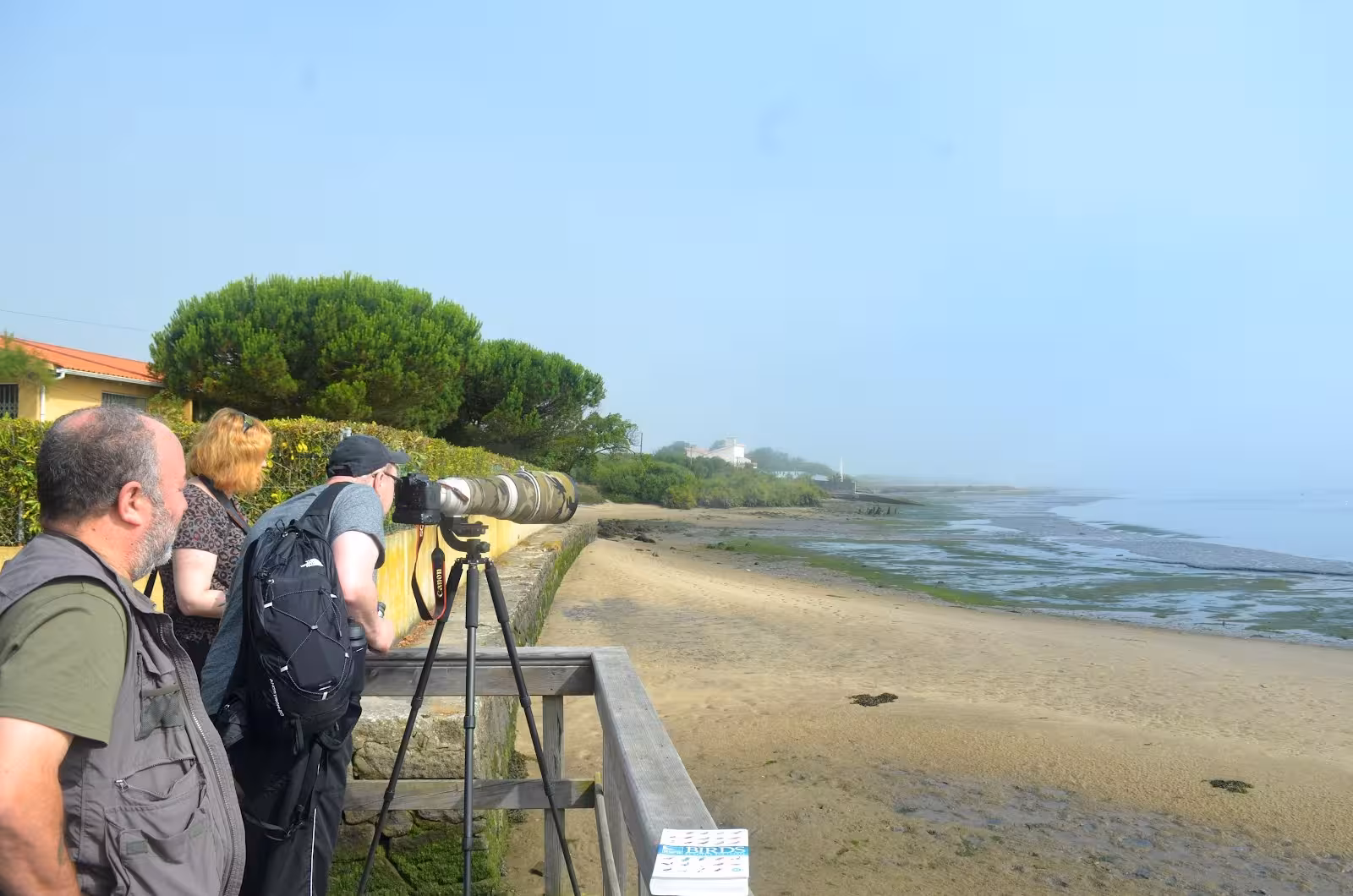 Group of birdwatchers on a coastal platform in Oporto using telescopic lenses to observe birds along the sandy shore.