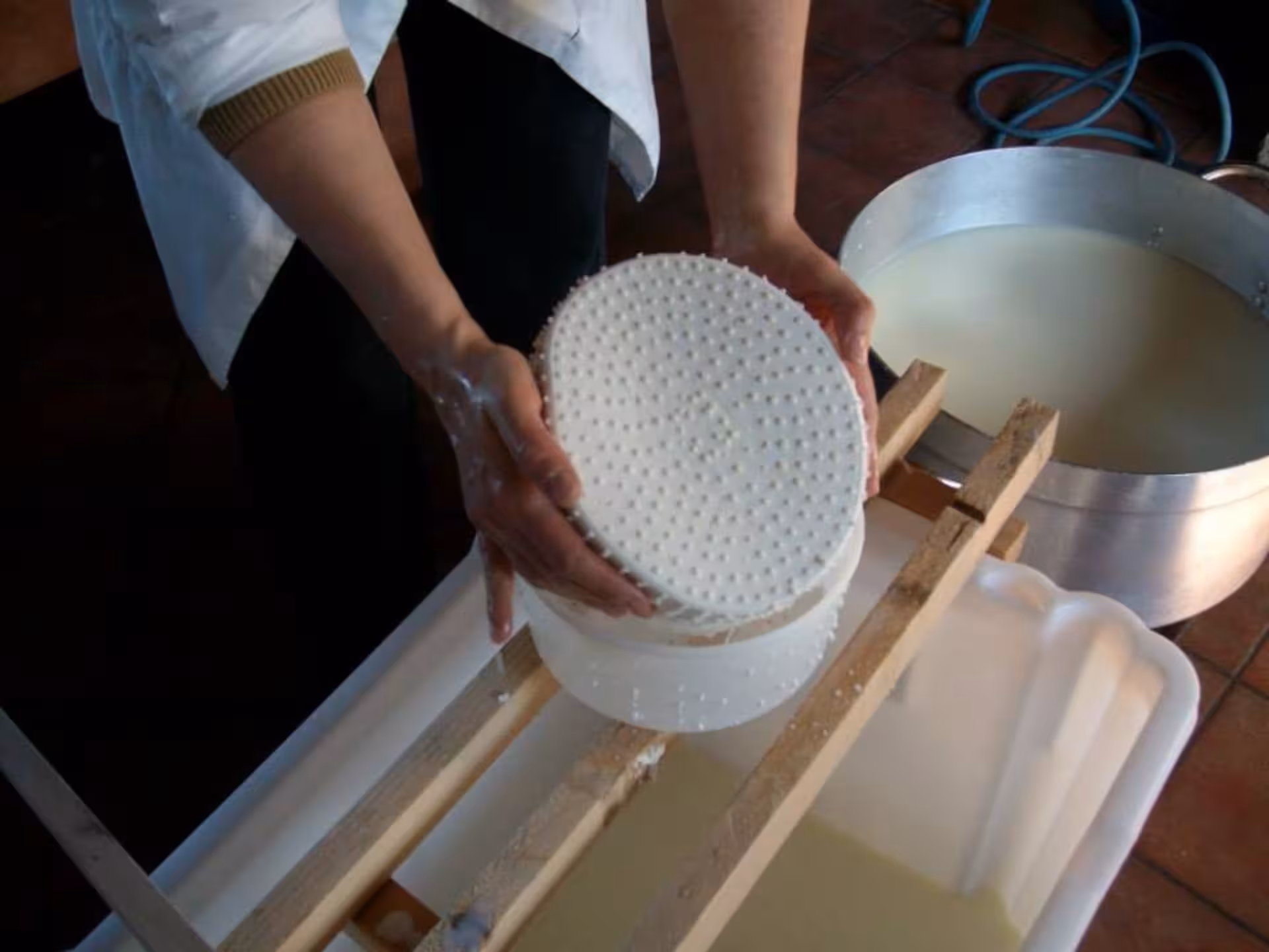 Hands shaping fresh cheese in a traditional dairy setting in Bitti, showcasing authentic shepherd's cheese-making.