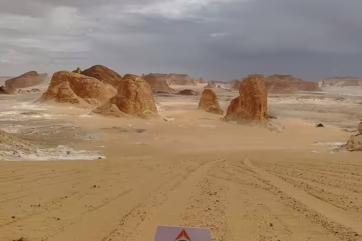 Windy Black Desert landscape with sand tracks and rock formations on a 5-day Djara Cave and White Desert tour
