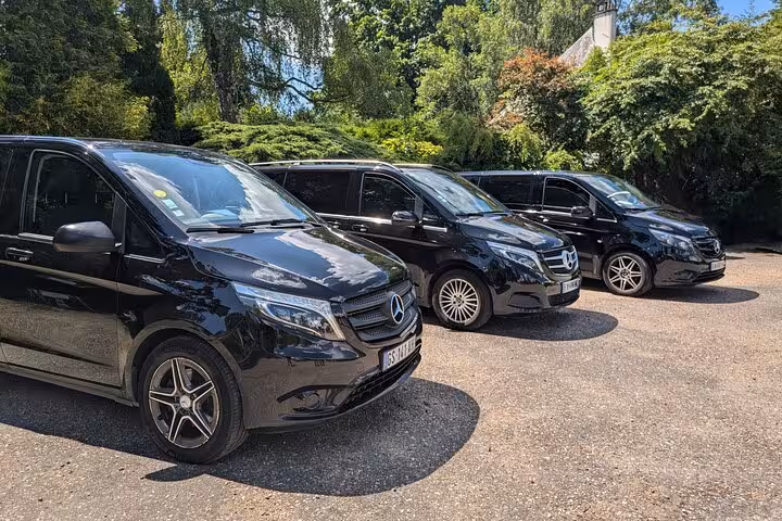 Three black Mercedes-Benz vans parked in a sunny lot surrounded by trees, available for private transfers