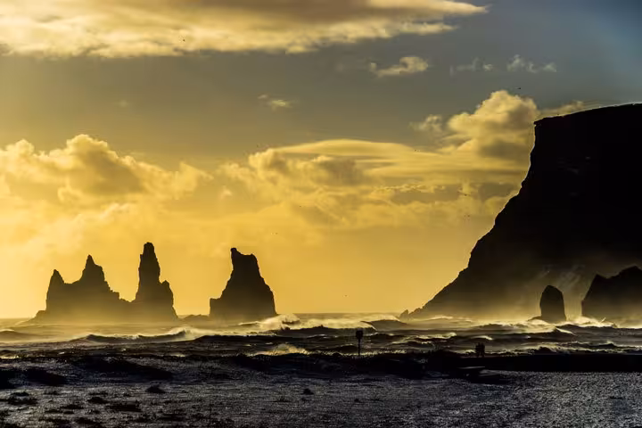 Dramatic black sand beach with towering sea stacks silhouetted against golden stormy sky on Iceland's South Coast