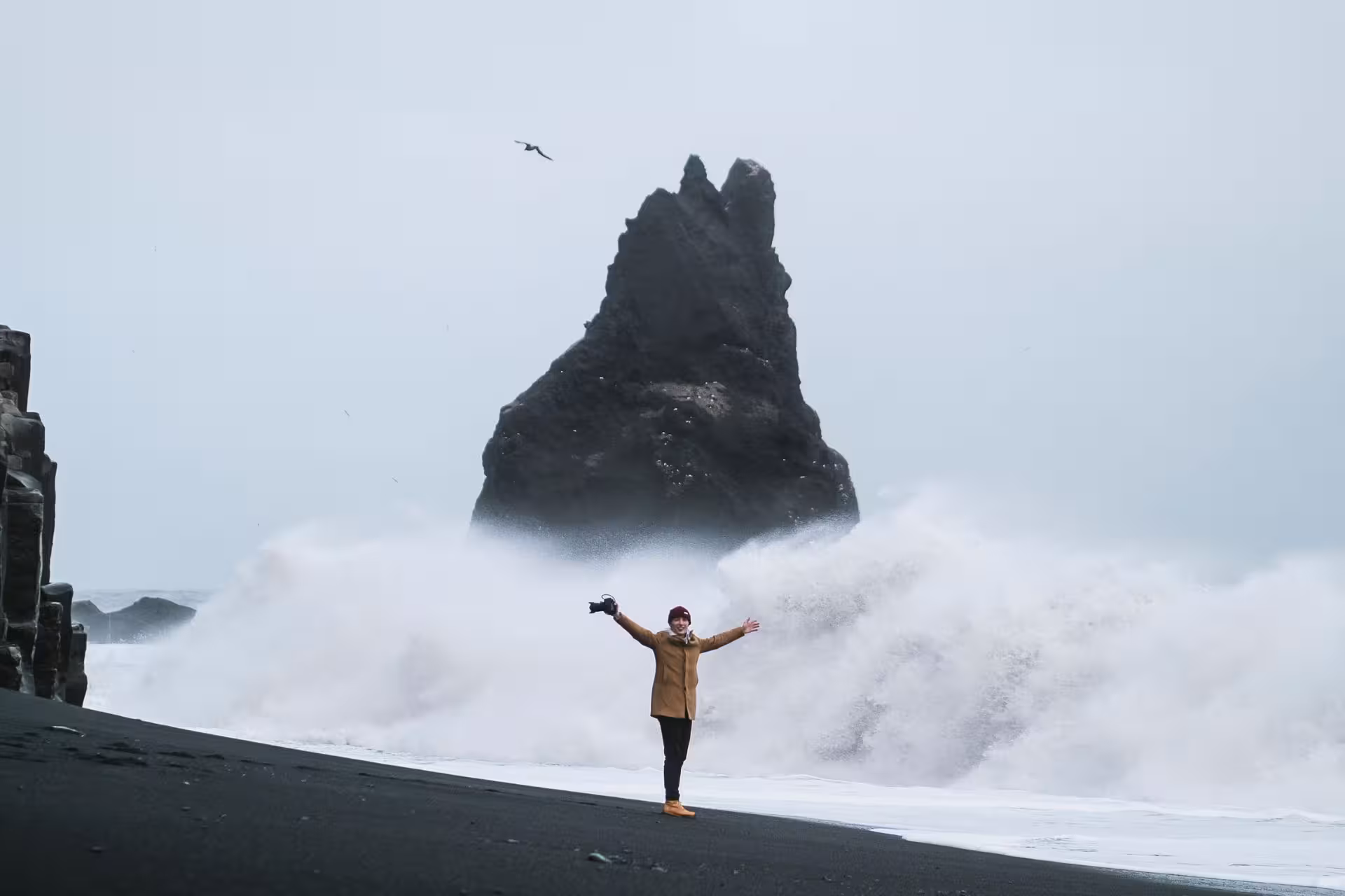 Excited traveler with camera standing on black sand beach with massive waves and volcanic rock stack in Iceland