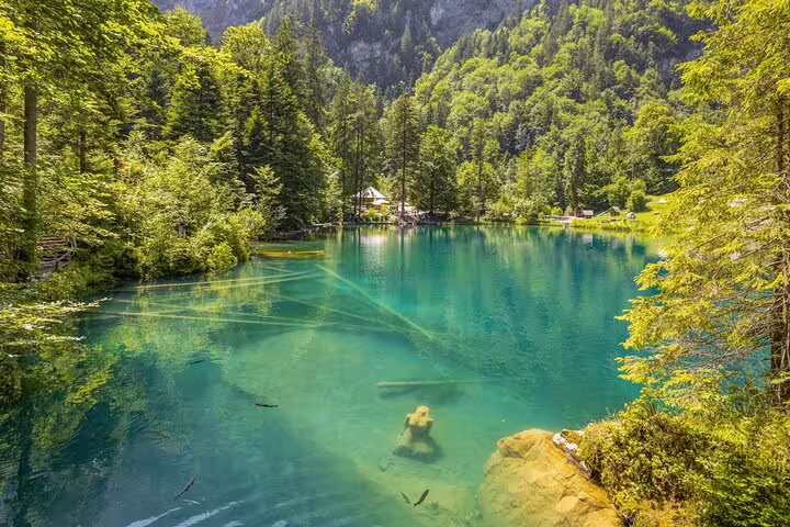 Scenic view of Blausee Lake's turquoise waters surrounded by dense forests on the Interlaken Private Tour.