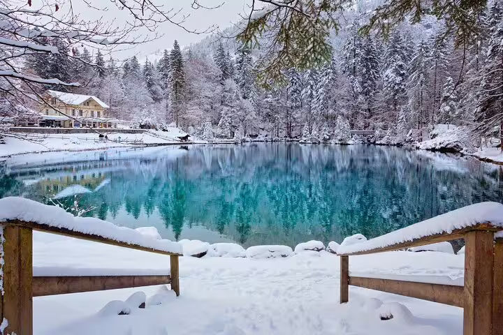 Winter view of Blausee Lake surrounded by snow-covered trees, perfect for a private Interlaken tour experience.