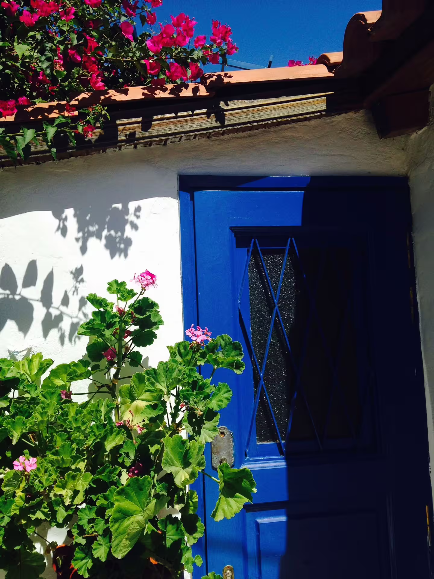 Blue door with bougainvillea in Plaka, Athens neighborhood stop on Acropolis and Monastiraki walking tour