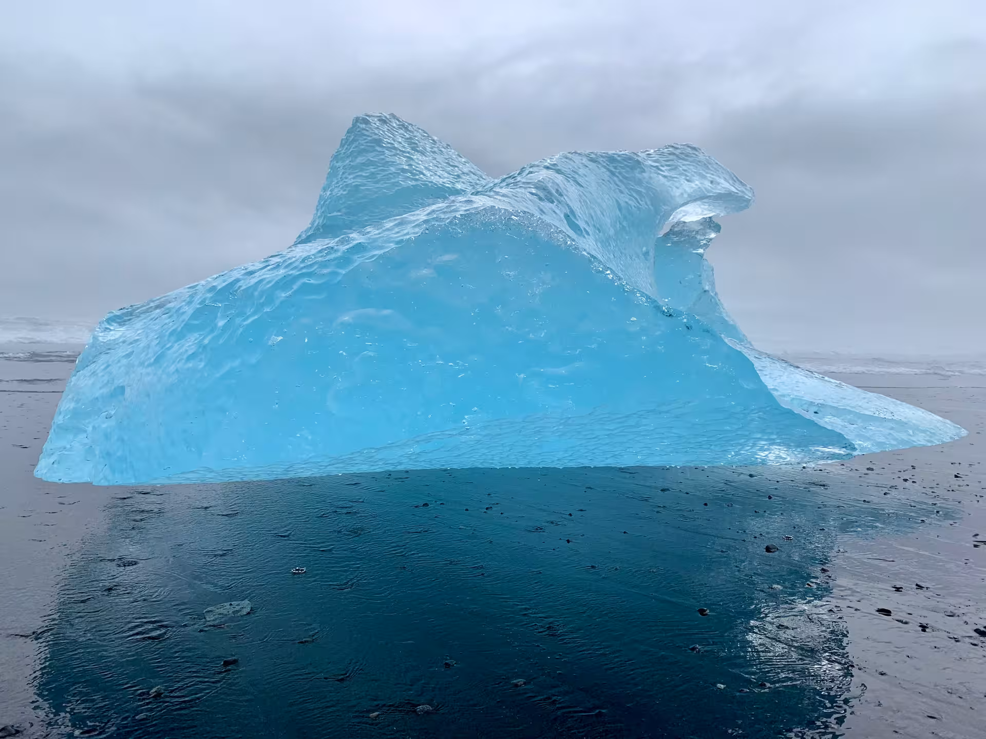 Vivid blue iceberg on dark water at Diamond Beach, Iceland under overcast skies