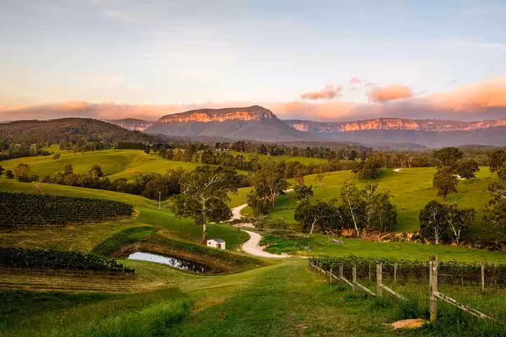 Scenic sunset view of Blue Mountains with lush green fields and winding trails, perfect for private hiking tours.