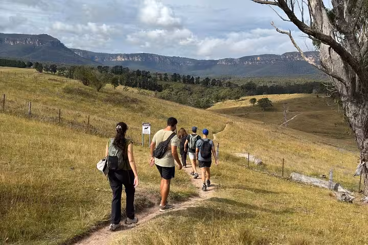 Group hiking through scenic trails in Blue Mountains National Park during a private hiking tour, surrounded by lush landscapes.